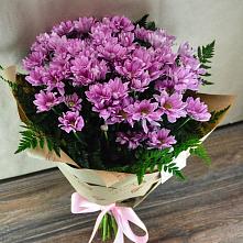 Букет цветов из:  Хризантемы #REPLACE_PRED# Ворошнево