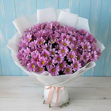 Букет цветов из:  Хризантемы в Ворошнево