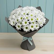 Букет цветов из:  Хризантемы в Ворошнево