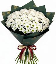 Букет цветов из:  Хризантемы в Ворошнево