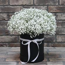 Цветочная композиция из Гипсофила в шляпной коробке в Ворошнево