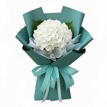 Букет цветов из:  Гортензия #REPLACE_PRED# Ворошнево